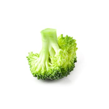 Fresh broccoli blocks for cooking isolated on white background.