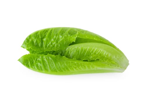 Cos Lettuce Isolated on a White Background.