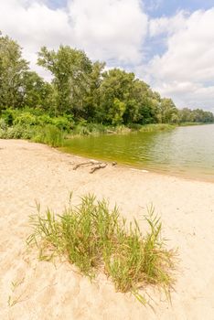 Sand beach close to the green lake under a cloudy summer sky. Kiev, Ukraine