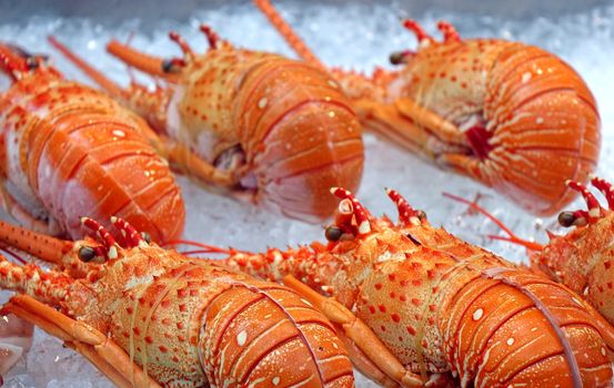 A street vendor sells fresh lobsters chilled on ice