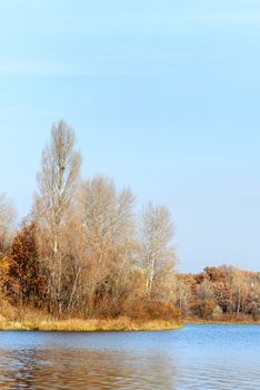 View of trees close to  the Dnieper river in autumn