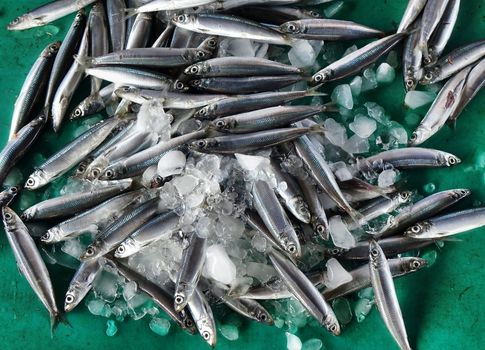 Fresh fish is being offered at an outdoor market