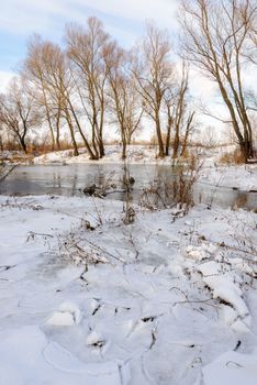 Winter trees  covered by snow close to the frozen Dnieper river