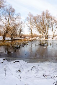 Winter trees  covered by snow close to the frozen Dnieper river