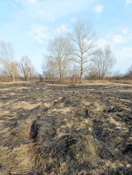 Wasteland after fire consequences: dry ground, tree roots and bushes are burnt and devastated