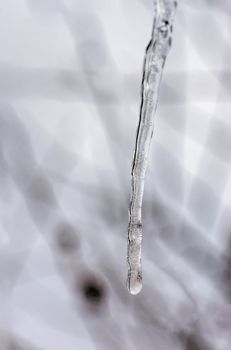 Water stalactite dropping during the cold and gray winter