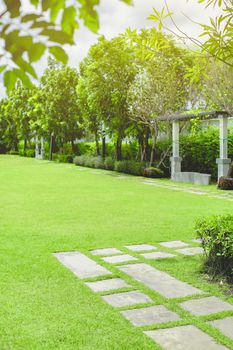 Green grass field in the morning, relaxation scene.