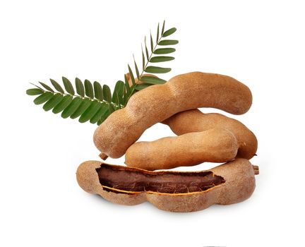 Tamarind isolated on the white background