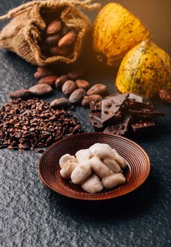 Dark chocolate pieces crushed and cocoa beans, top view