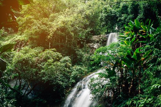 soft water of the stream in the natural park, Beautiful waterfall in rain forest