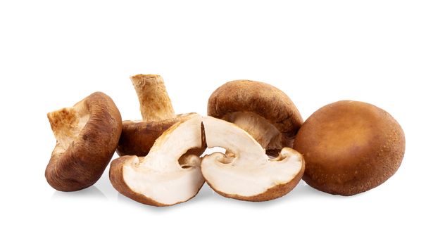 Shiitake mushroom on the White background