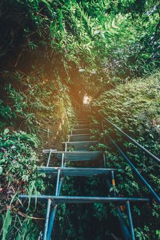 Iron staircase in the forest