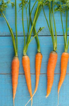 Fresh and sweet carrot on a grey wooden table