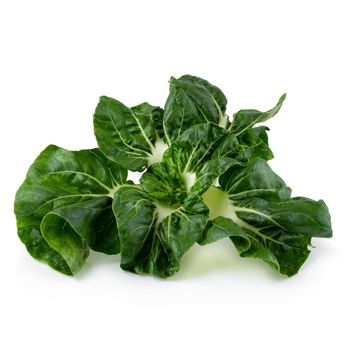 Lettuce leaves isolated over the white background.