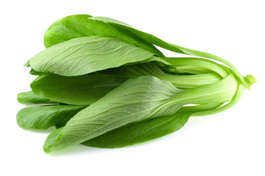 Bok choy cabbage isolated on white background.