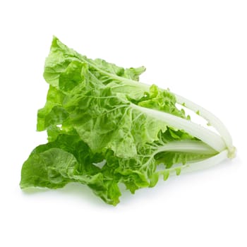 Lettuce leaves isolated over the white background.