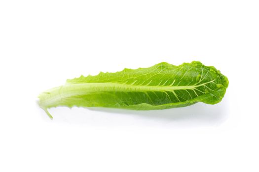 Cos Lettuce Isolated on a White Background.