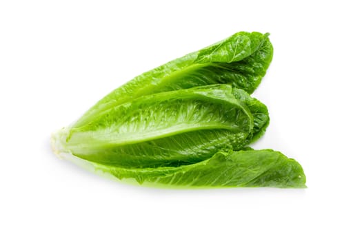 Cos Lettuce Isolated on a White Background.