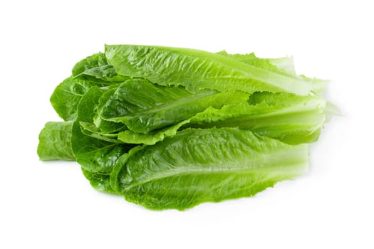 Cos Lettuce Isolated on a White Background.