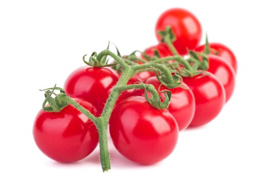Branch of ripe cherry tomatoes over the white background