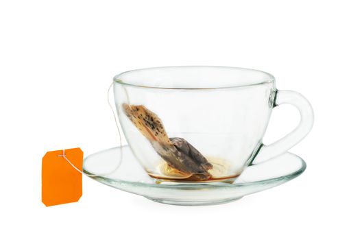 Black tea teabag in empty cup isolated on white background