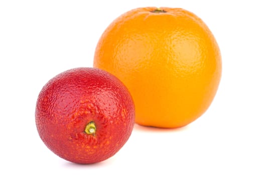 Oranges of different breeds isolated on white background. Focus point - middle orange