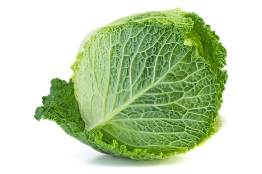 Savoy cabbage isolated on white background