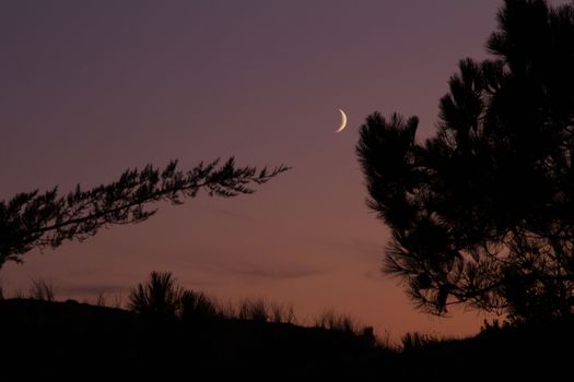 A sunset shot of the moon at half crescent