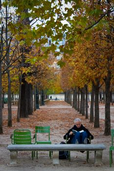 A man reading in a park in Paris, France