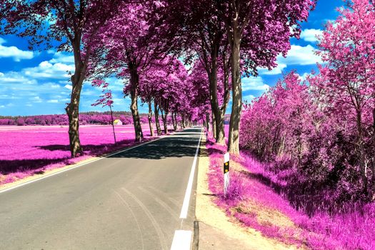 Beautiful purple infrared landscape with a magical look in high resolution