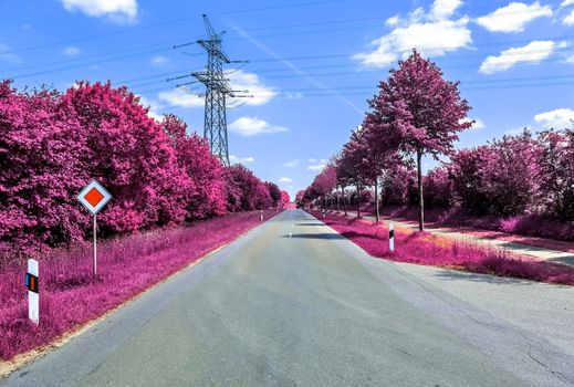 Beautiful purple infrared landscape with a magical look in high resolution