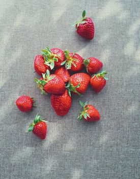 Organic strawberries on rustic linen background, fruit farming and agriculture