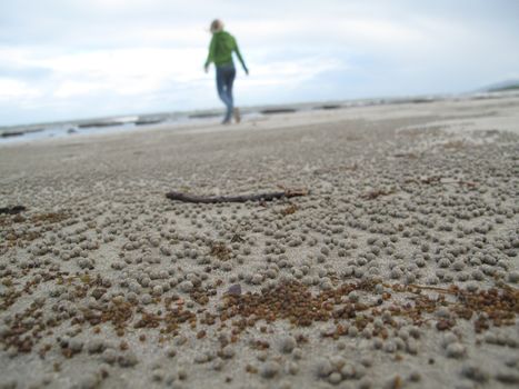 A woman walking in the sand with crab holes in the foreground