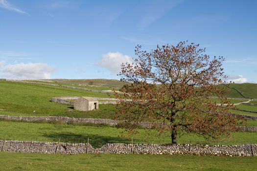 Malham Tarn countryside