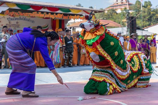 Thoet Thai, Chiang Rai - THAILAND, November 27, 2019 : Group of Shan or Tai Yai (ethnic group living in parts of Myanmar and Thailand) in tribal dress do native dancing in Shan New Year celebrations.