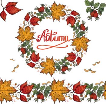 Set of autumn leaves and berries. Seamless brush and border design