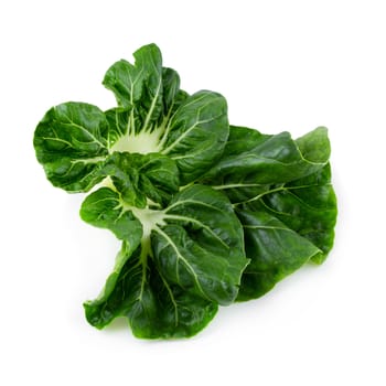 Lettuce leaves isolated over the white background.