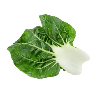 Lettuce leaves isolated over the white background.