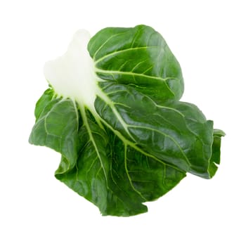 Lettuce leaves isolated over the white background.