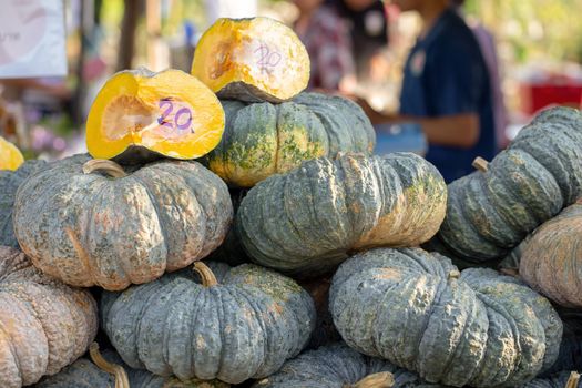 Pumpkin grows in the garden on the straw floor.