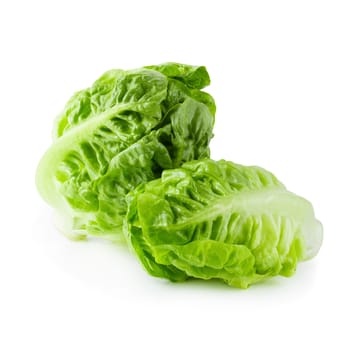 fresh baby Cos Lettuce Isolated on a White Background.