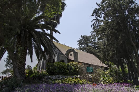Church hidden among trees