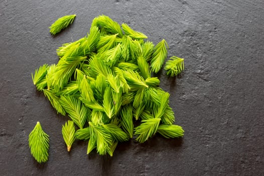 fresh spring spruce tips on a slate board ready for the kitchen