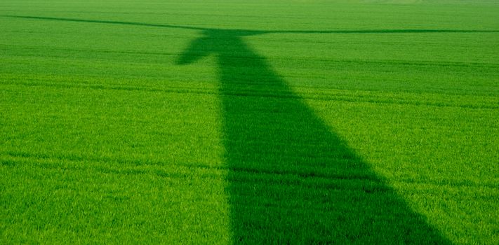 shadow of wind turbine on lush cereal field