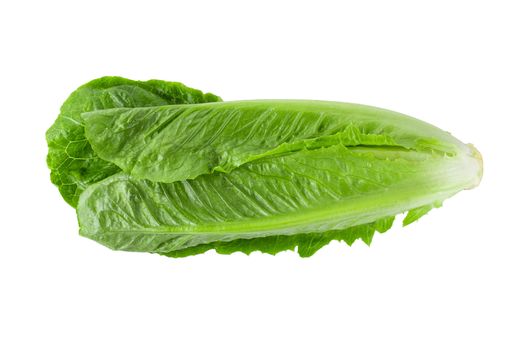 Cos Lettuce Isolated on a White Background.