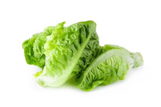 fresh baby Cos Lettuce Isolated on a White Background.