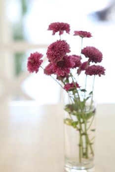 flower in jar