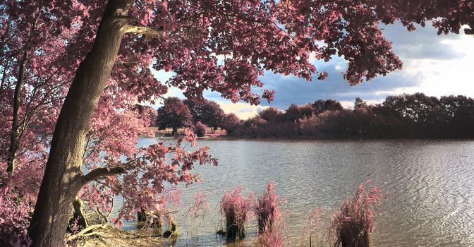 Beautiful and colorful fantasy landscape in an asian purple infrared photo style