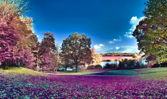 Beautiful and colorful fantasy landscape in an asian purple infrared photo style