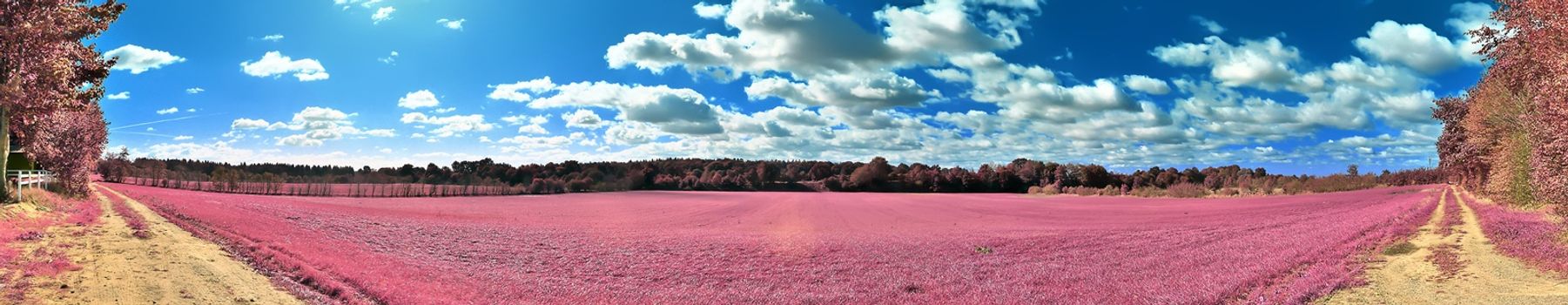 Beautiful and colorful fantasy landscape in an asian purple infrared photo style